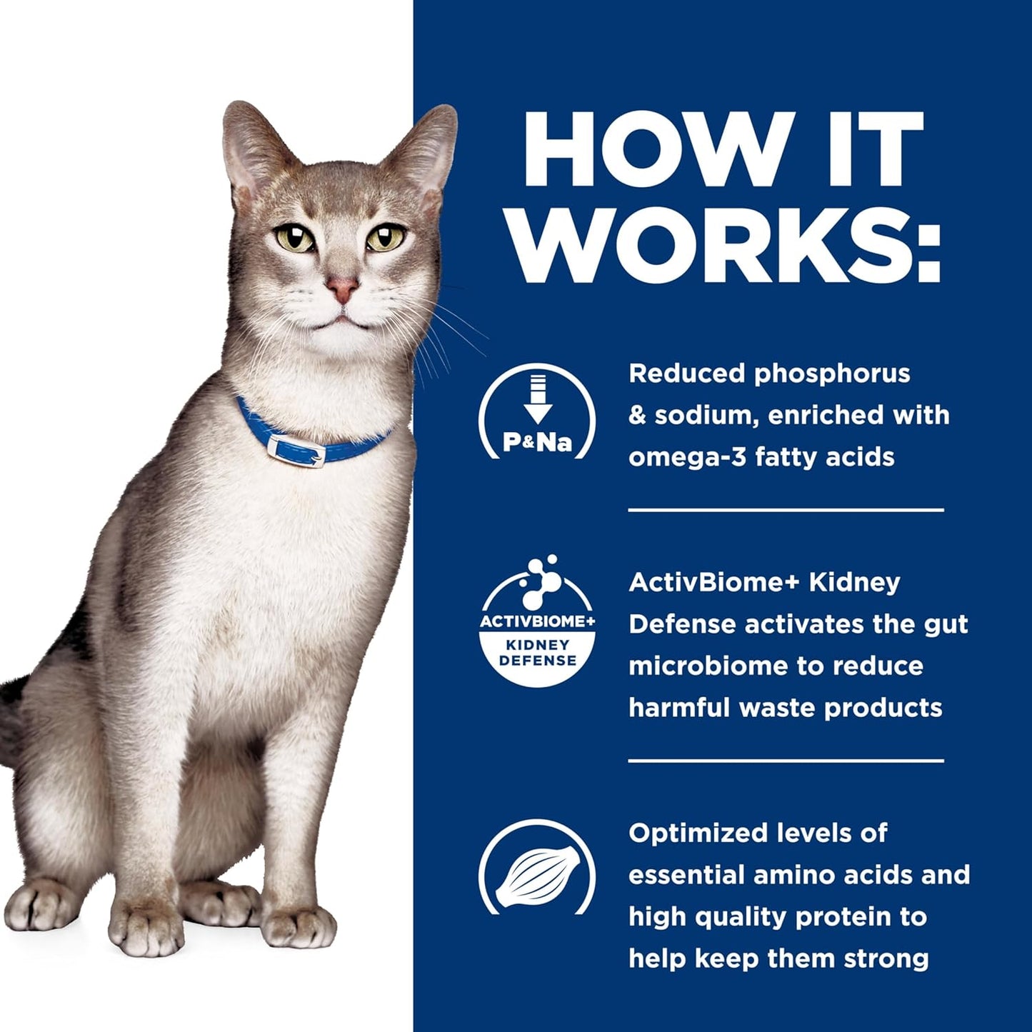 Hill'S Prescription Diet K/D Kidney Care Dry Cat Food