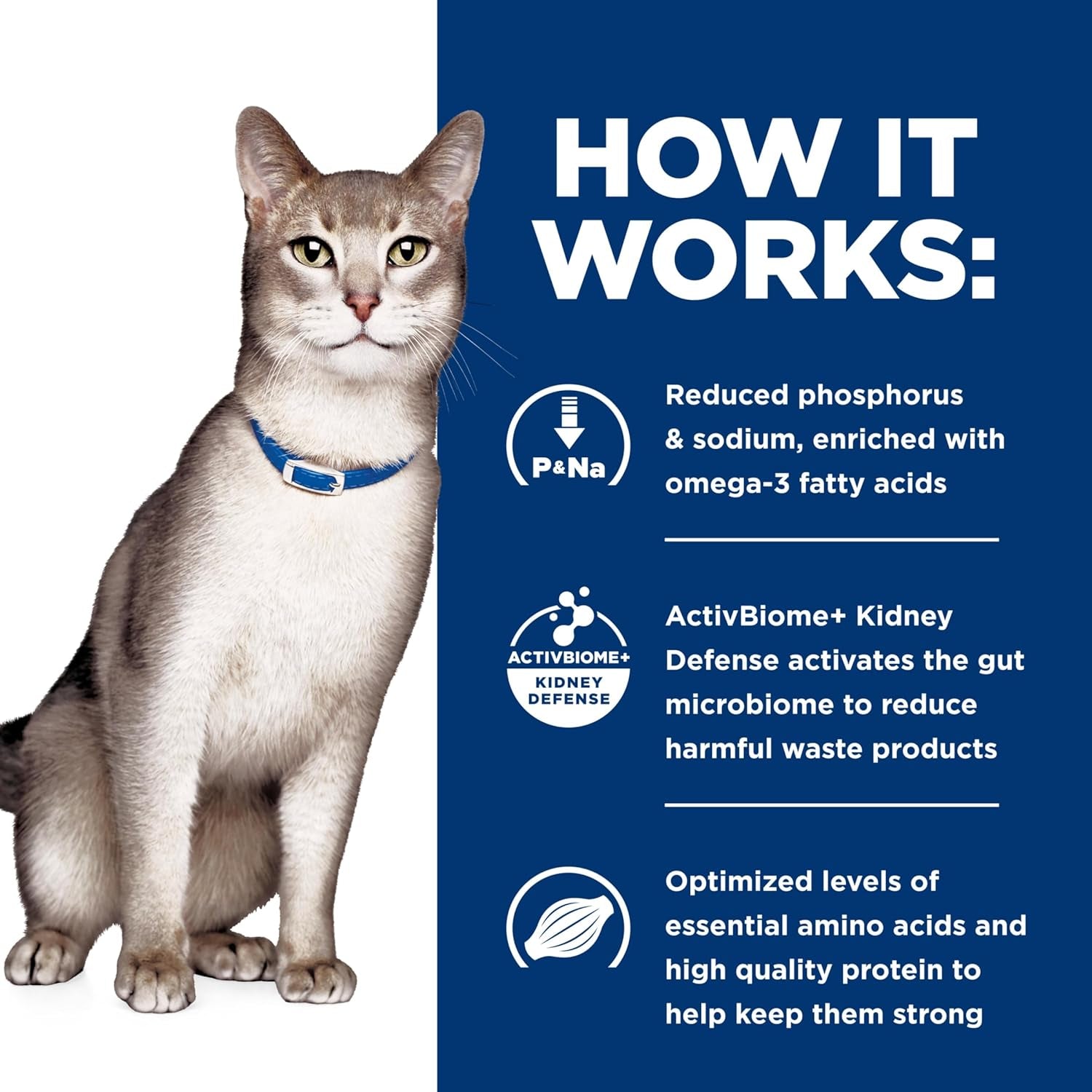 Hill'S Prescription Diet K/D Kidney Care Dry Cat Food
