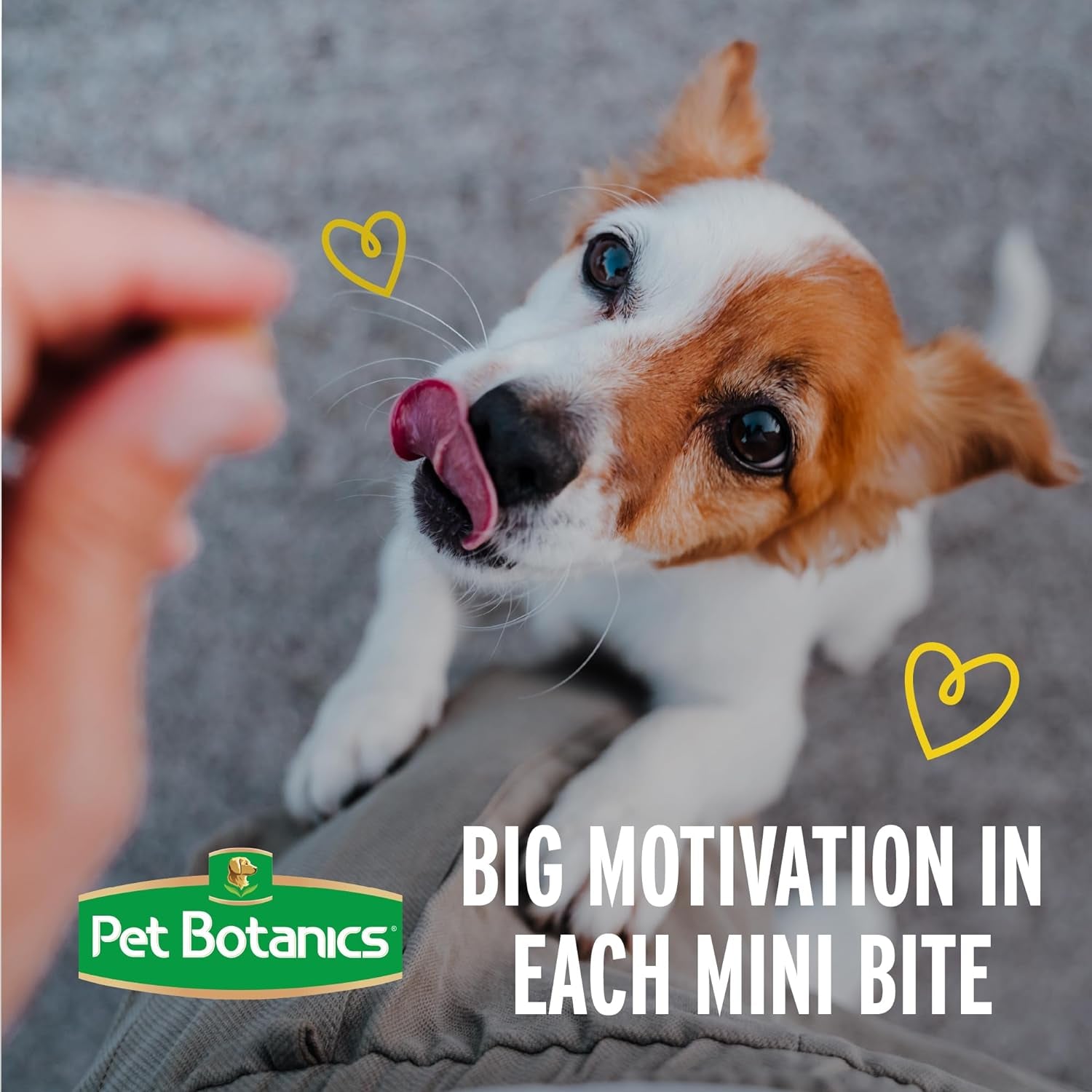 Training Rewards Mini Soft & Chewy, Chicken Flavor, 10 Oz
