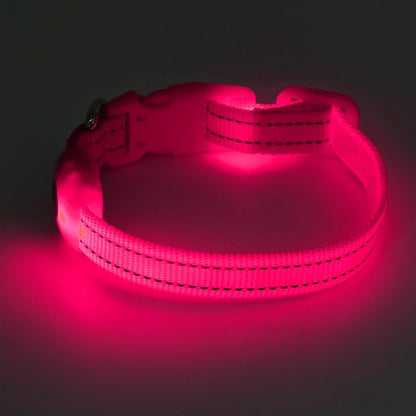 Light up Dog Collar for Small Dogs & Cats (Pink, XS)